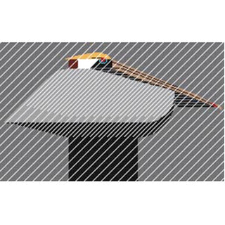 Pelican Downpour Pillow