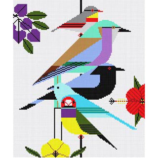 Rainforest Birds Pillow